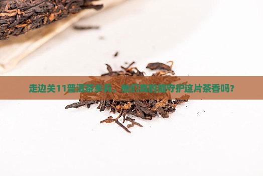 走边关11普洱茶乡巡逻兵 走边关11普洱茶乡巡逻兵