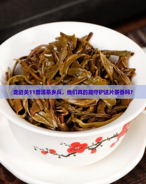 走边关11普洱茶乡巡逻兵 走边关11普洱茶乡巡逻兵