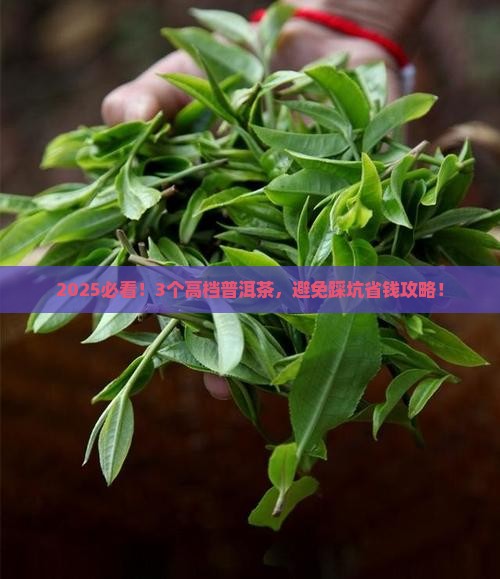 有什么高档普洱茶品牌