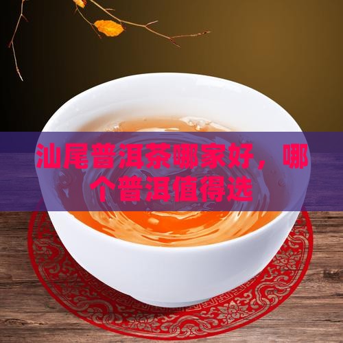 汕尾普洱茶哪家品牌好