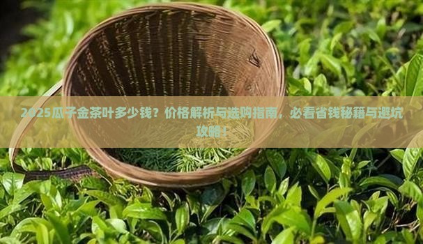 瓜子金茶叶多少钱