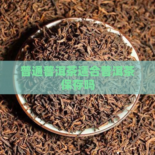 普通普洱茶适合保存吗