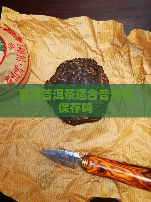 普通普洱茶适合保存吗