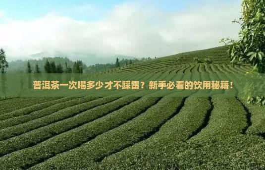 普洱茶一次喝多少适量呢