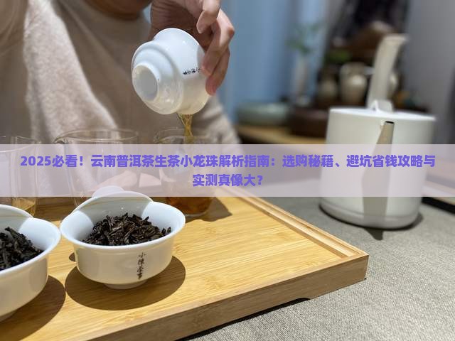 云南普洱茶生茶普洱茶小龙珠
