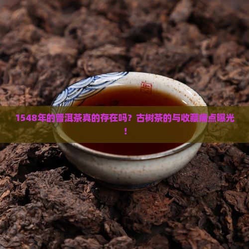 1548年的普洱茶