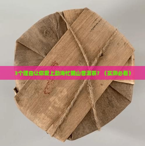 勐海忙麓山普洱茶