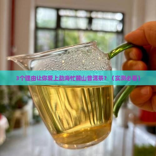 勐海忙麓山普洱茶