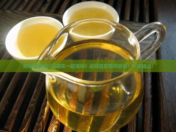 熟普洱茶可以同菊花一起泡吗