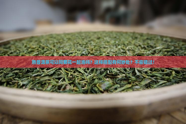 熟普洱茶可以同菊花一起泡吗
