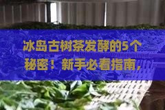 冰岛古树茶怎么发酵