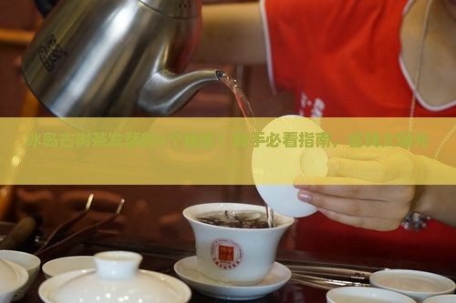 冰岛古树茶怎么发酵