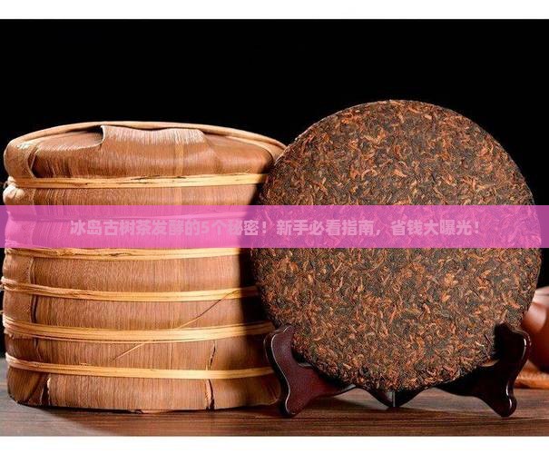 冰岛古树茶怎么发酵