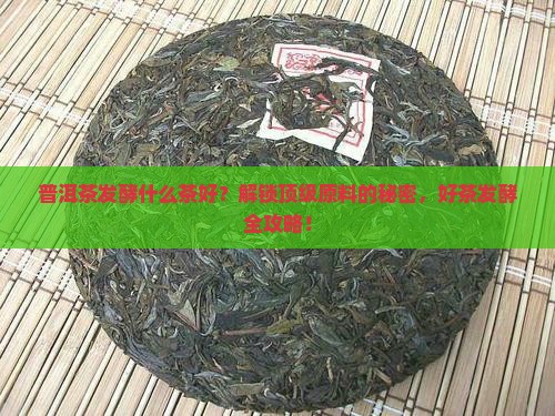 普洱茶发酵什么茶好