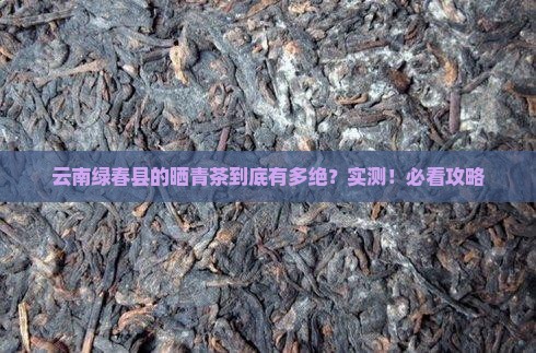 云南绿春县的晒青茶怎么样