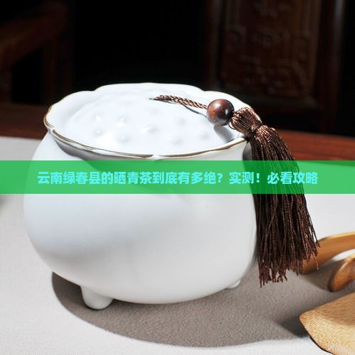 云南绿春县的晒青茶怎么样