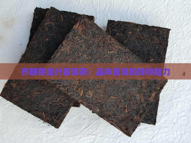布朗黄金叶普洱茶怎么样