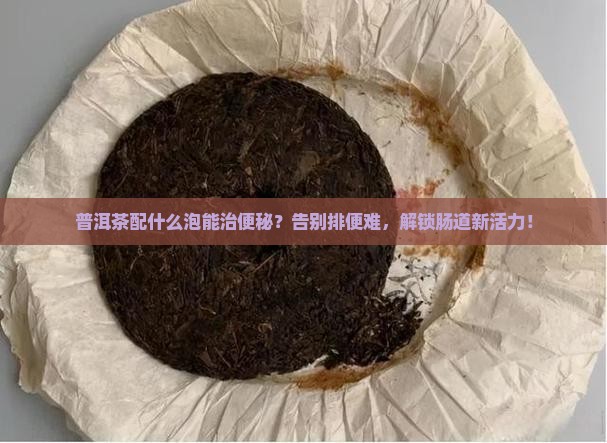普洱茶配什么泡治便秘