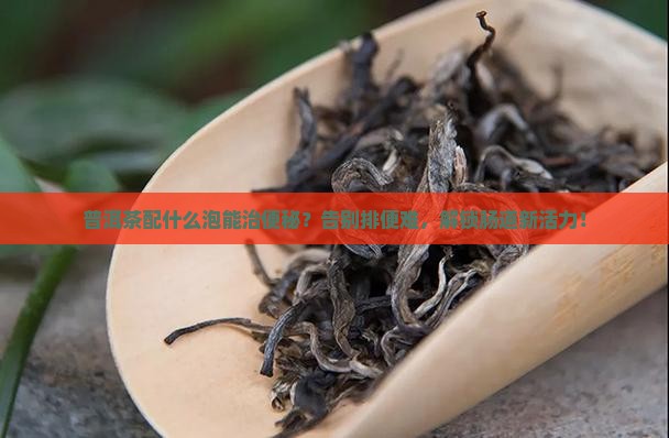 普洱茶配什么泡治便秘