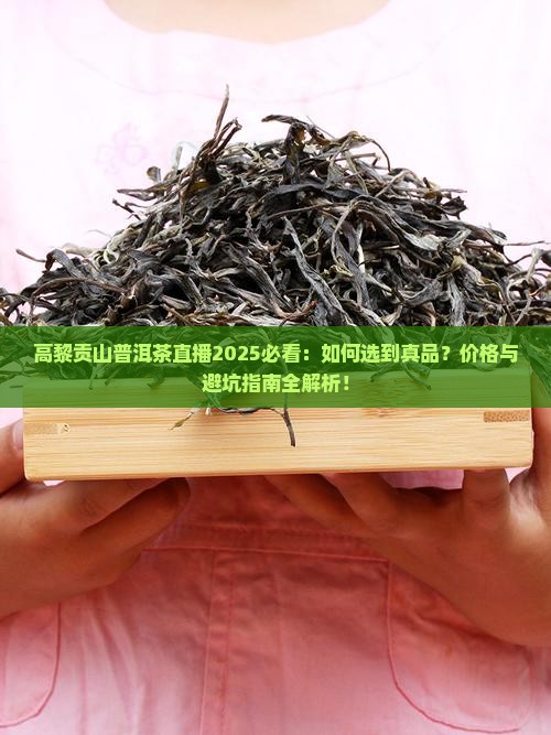 高黎贡山普洱茶直播