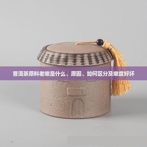普洱茶原料老嫩