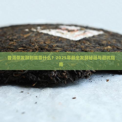普洱茶发酵的条件