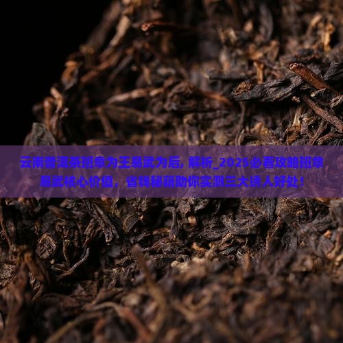 云南普洱茶班章为王易武为后