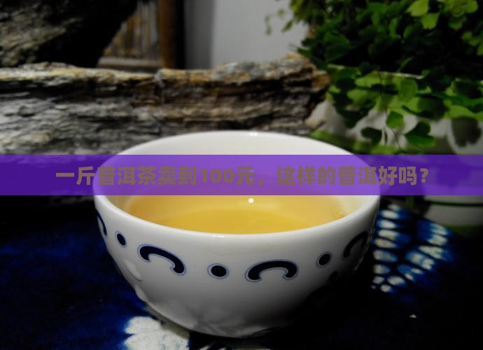 100元一斤的普洱茶好吗