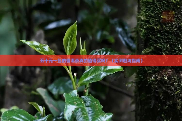 五十元一包的普洱茶好吗
