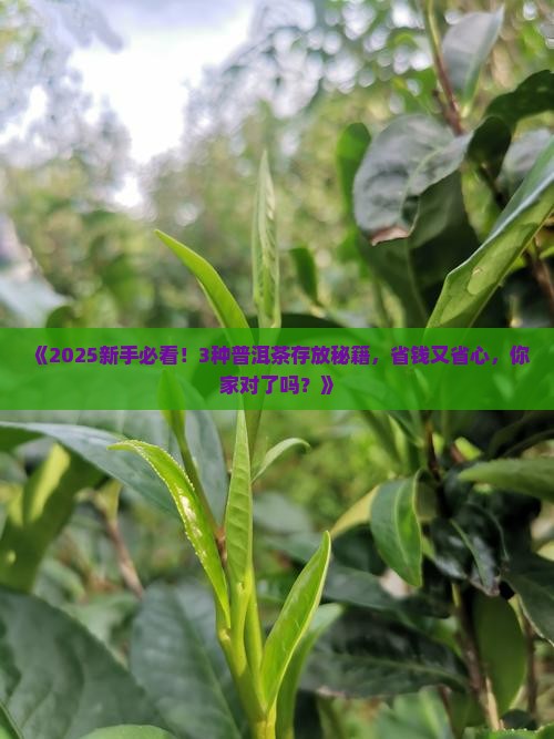 普洱茶各种存放方式
