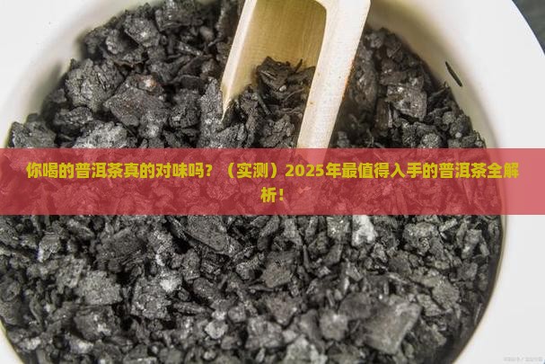 如何介绍一款品牌普洱茶