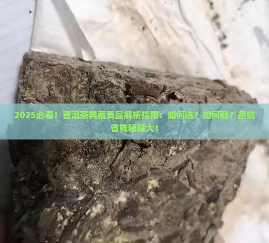 普洱茶之典藏贡品