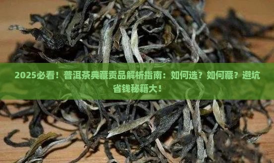 普洱茶之典藏贡品