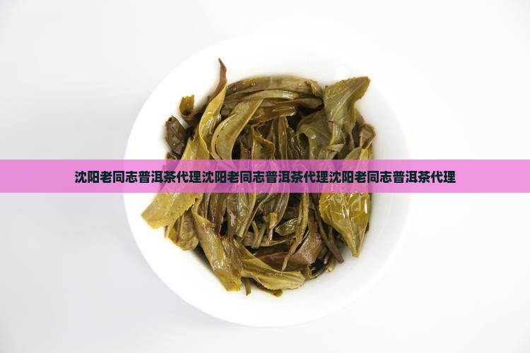 沈阳老同志普洱茶代理