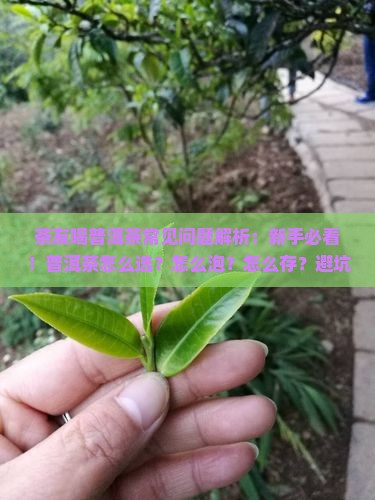 茶友喝普洱茶常见问题