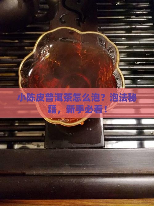 小陈皮普洱茶怎么泡