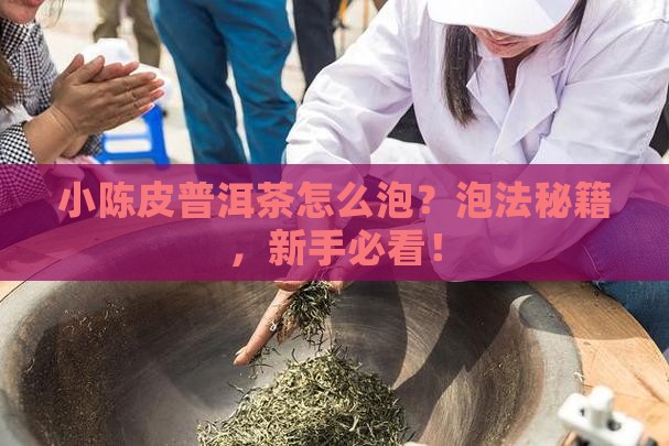 小陈皮普洱茶怎么泡