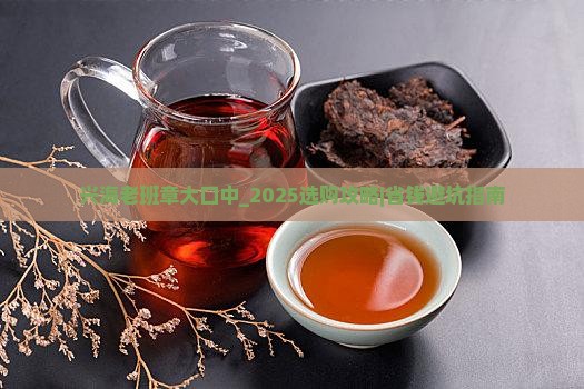 兴海老班章大口中