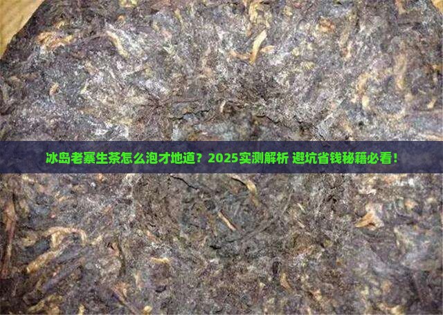 冰岛老寨生茶正确泡法