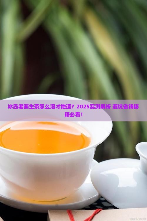 冰岛老寨生茶正确泡法