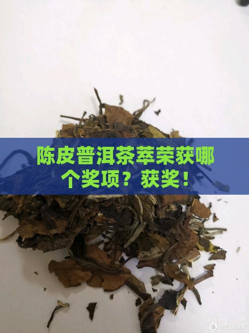 陈皮普洱茶萃荣获哪个奖项