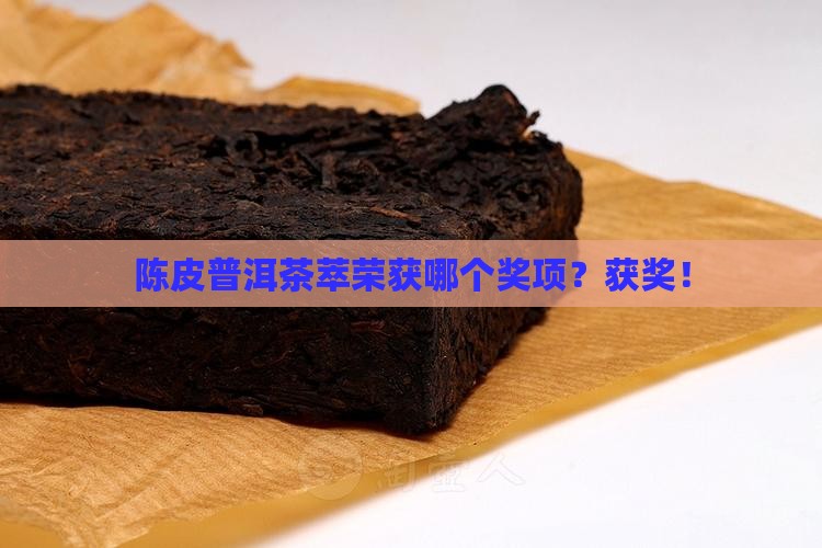 陈皮普洱茶萃荣获哪个奖项