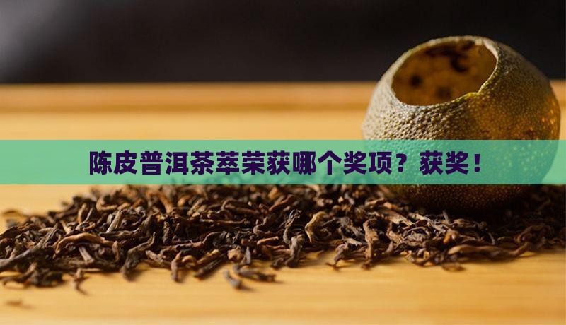 陈皮普洱茶萃荣获哪个奖项