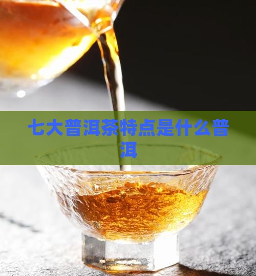 七大普洱茶特点是什么