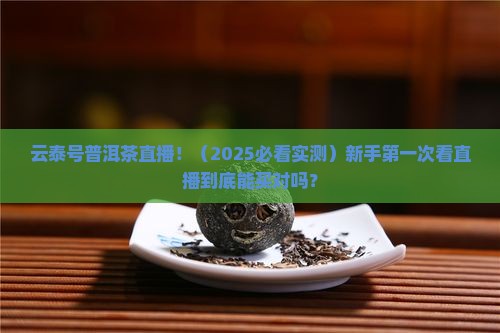 普洱茶直播云泰号