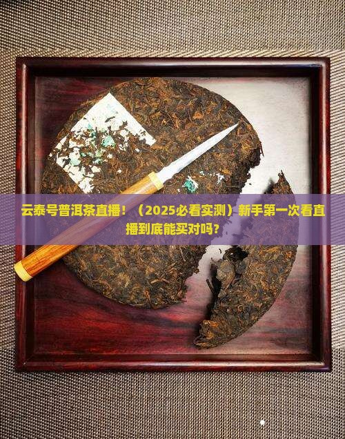 普洱茶直播云泰号