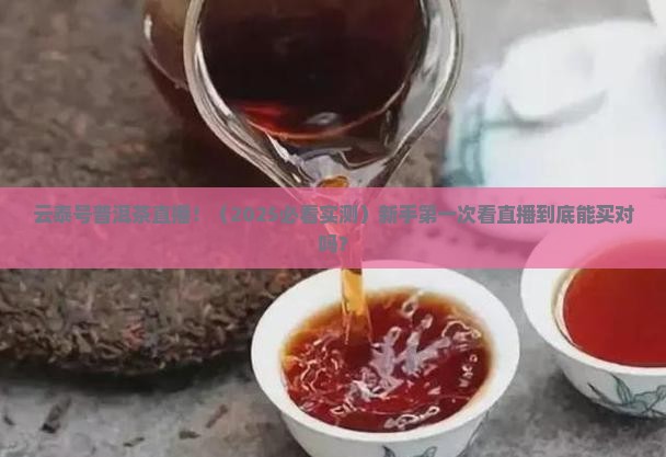 普洱茶直播云泰号