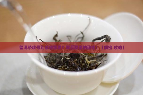 普洱茶唛号什么意思