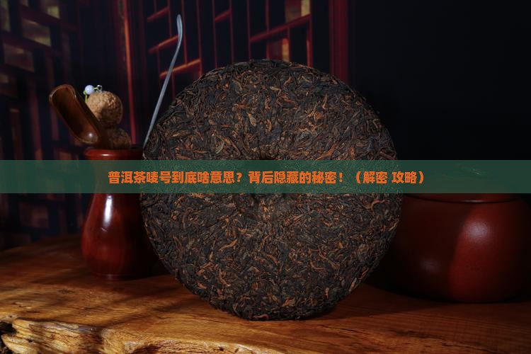 普洱茶唛号什么意思