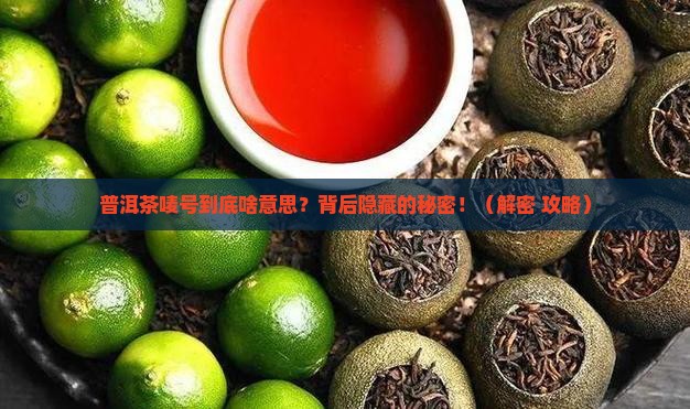 普洱茶唛号什么意思